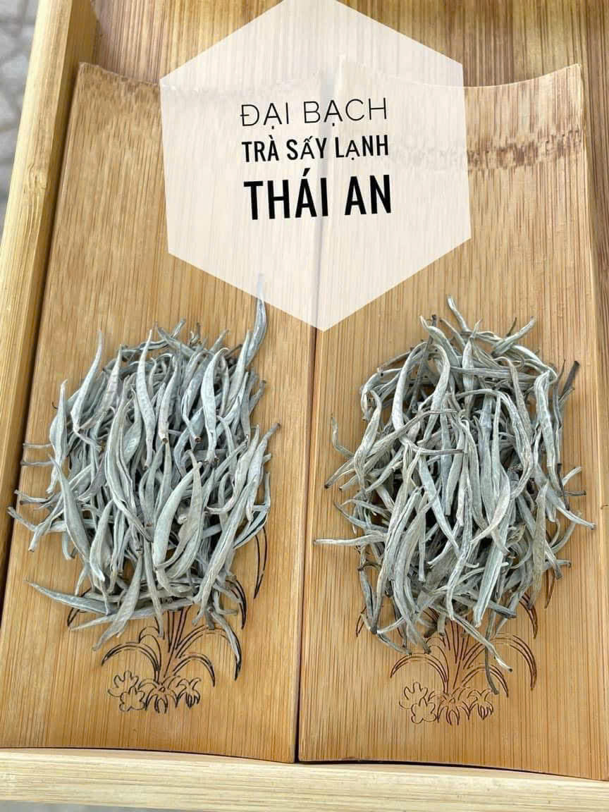Thai an tra 09